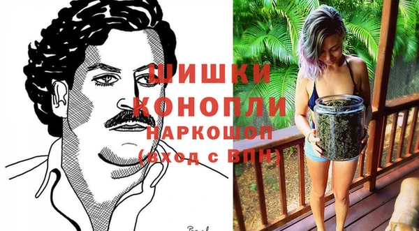 гидра Балахна