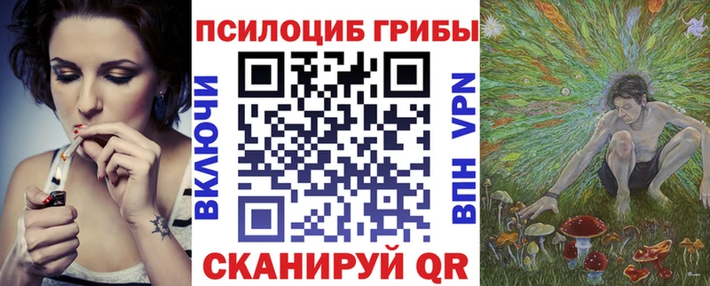 Галлюциногенные грибы Psilocybine cubensis  Обь 